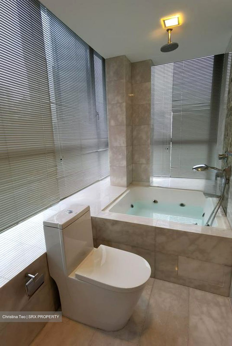 Angullia Park Residences @ Orchard (D10), Apartment #471967841